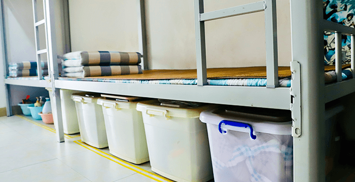 ��ʦѧУ�����